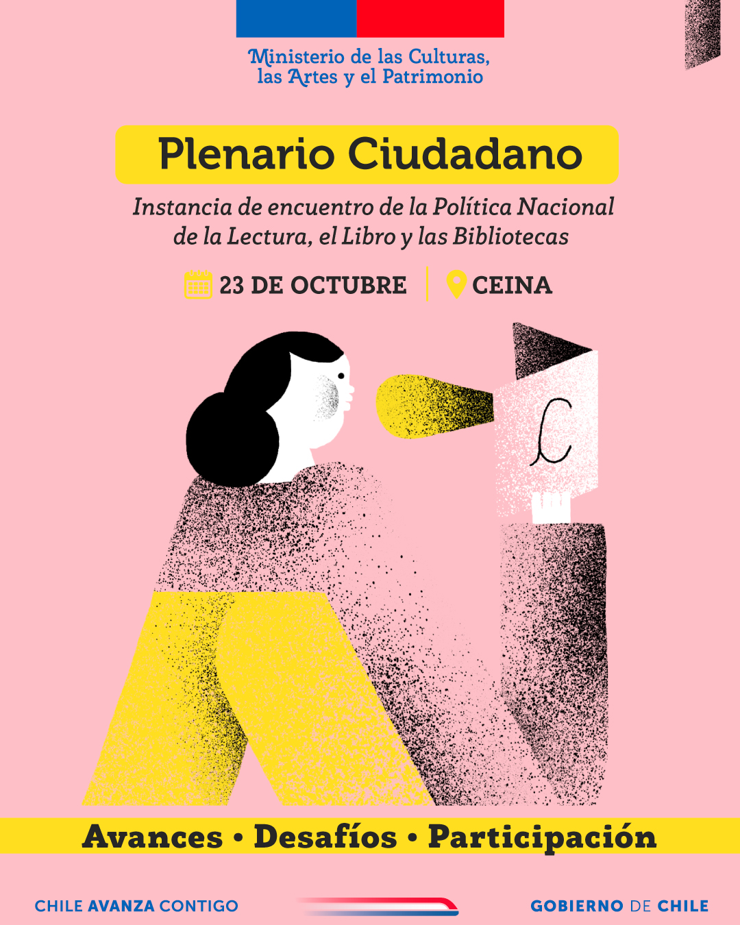 Plenario ciudadano