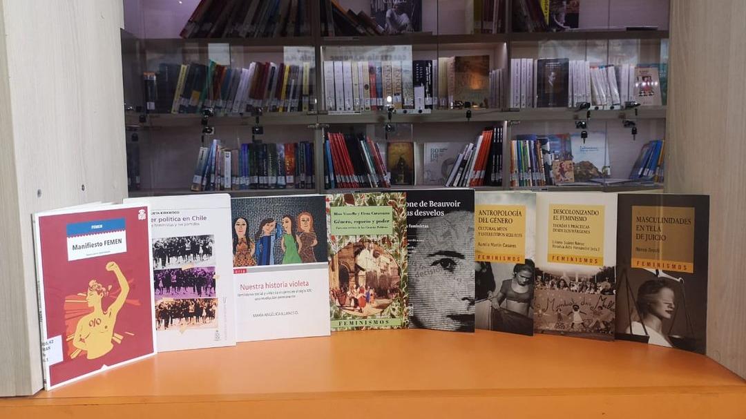 Biblioteca Violeta Parra