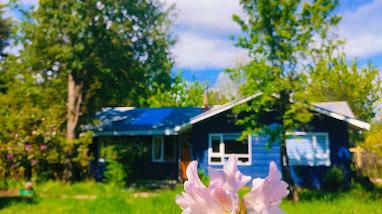 Espacio IKIGAI Pucón 