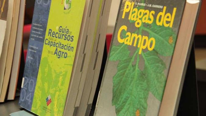 Gentileza diarioaysen.cl