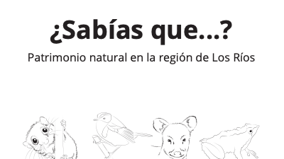 Portada de "Sabías que", contenido digital educativo que cruza la lectura y naturaleza.