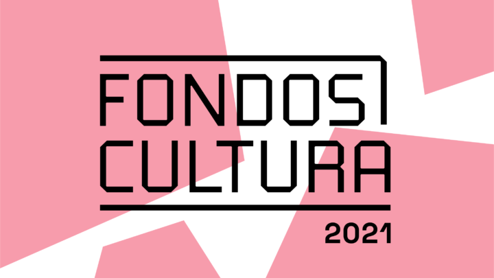 Los Fondos de Cultura 2021, en su línea Fondo del Libro y la Lectura, contó este año con 570 proyectos favorecidos.