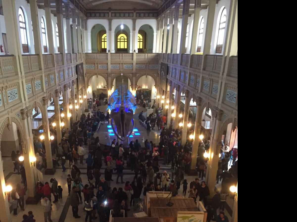 Más de 10 mil personas visitaron el Museo de Historia Natual en este  Día del Patrimonio Cultural