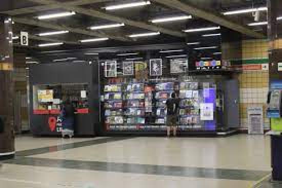 Bibliometro Baquedano