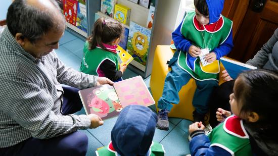 Guaguateca Puerto Aysén