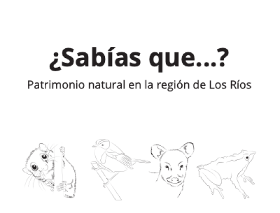 Portada de "Sabías que", contenido digital educativo que cruza la lectura y naturaleza.