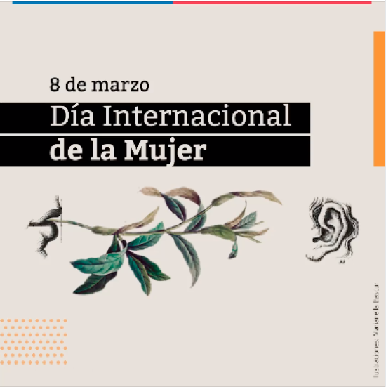 Charlas, cuentacuentos, audiolibros son algunas de las actividades programadas.