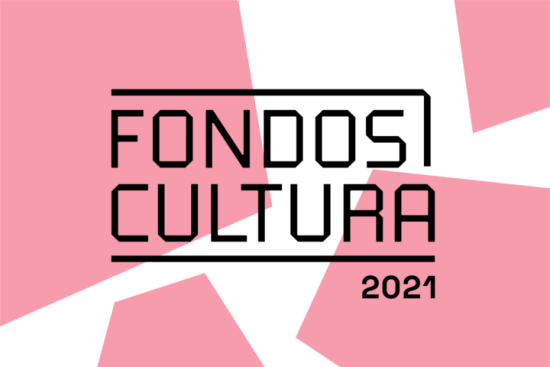 Los Fondos de Cultura 2021, en su línea Fondo del Libro y la Lectura, contó este año con 570 proyectos favorecidos.